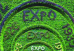 World Expo